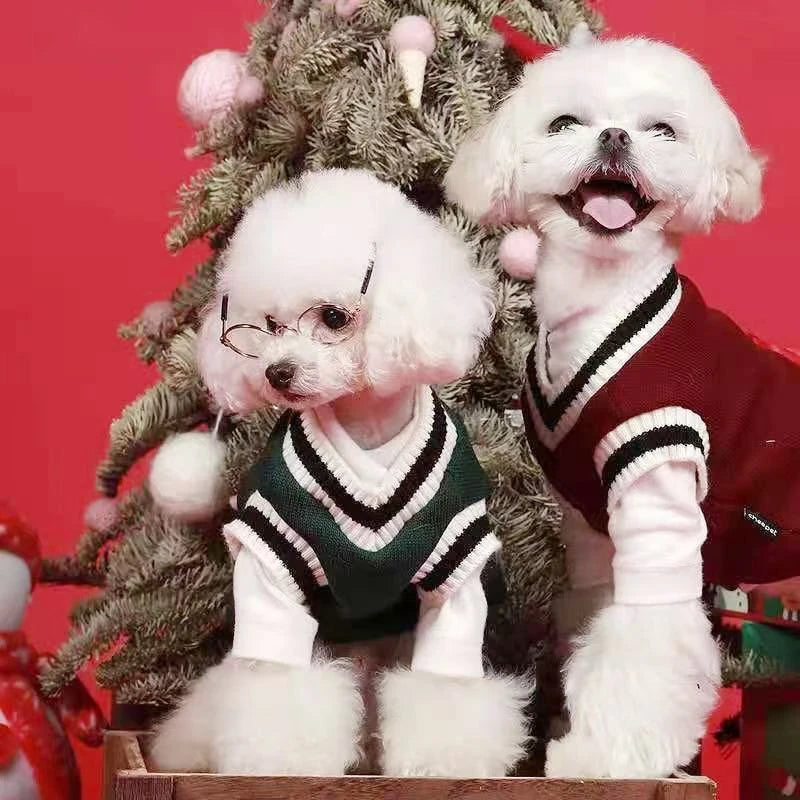 Festive V-Neck Pet Jumper – Cosy Winter Knit Sweater for Small Dogs & Cats