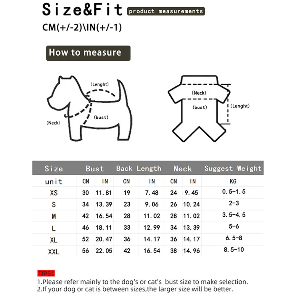 Spooky-Cute Halloween Vest – Dress Up Your Pet for the Festivities!