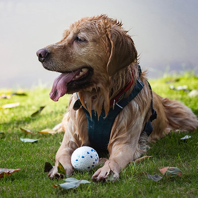 Durable Bounce Ball for Dogs – Silent Chew Toy for Small & Large Breeds