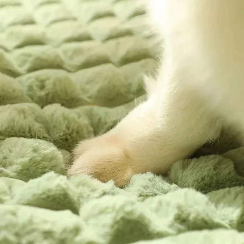 Orthopaedic Dog Bed – Cosy, Washable Cushion for Small to Large Pets