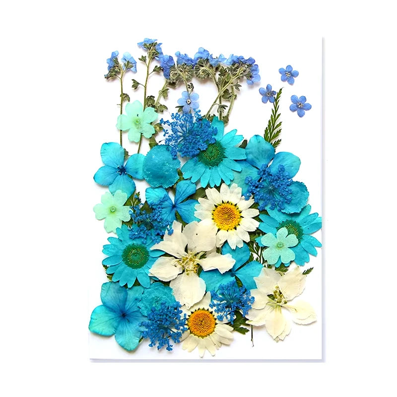 Natural Dried Flowers – A Touch of Nature for Your Resin Crafts