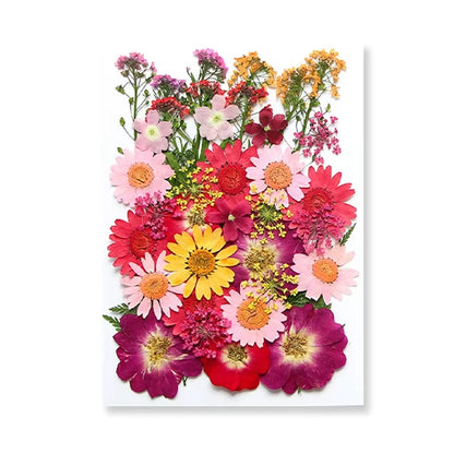 Natural Dried Flowers – A Touch of Nature for Your Resin Crafts