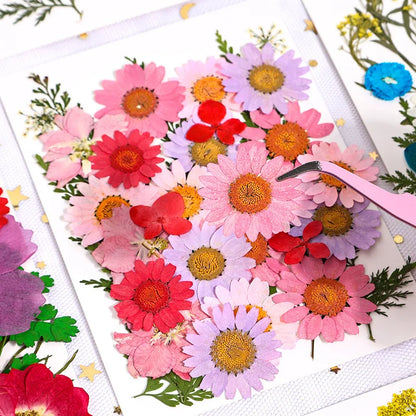 Natural Dried Flowers – A Touch of Nature for Your Resin Crafts