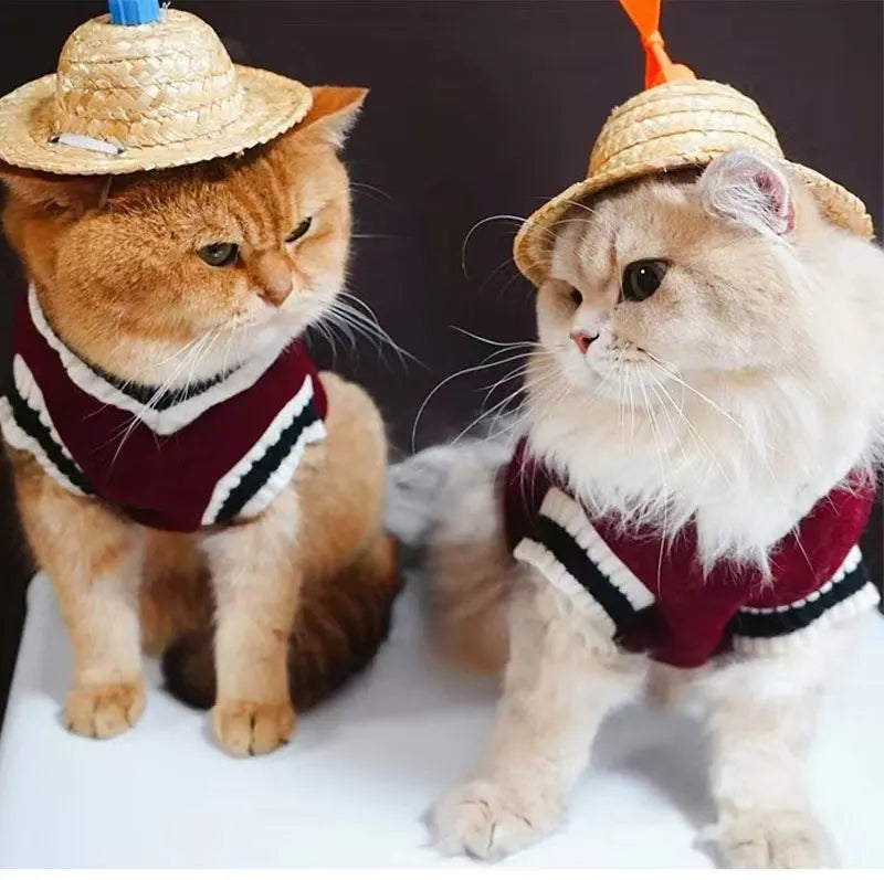 Festive V-Neck Pet Jumper – Cosy Winter Knit Sweater for Small Dogs & Cats