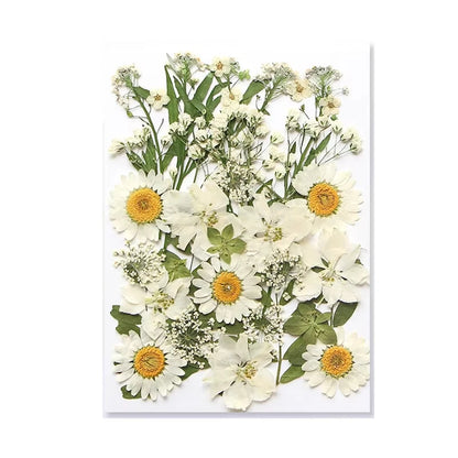 Natural Dried Flowers – A Touch of Nature for Your Resin Crafts