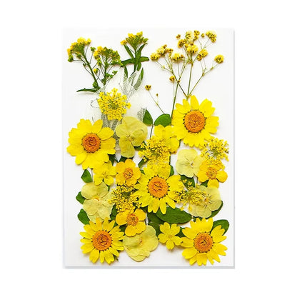 Natural Dried Flowers – A Touch of Nature for Your Resin Crafts