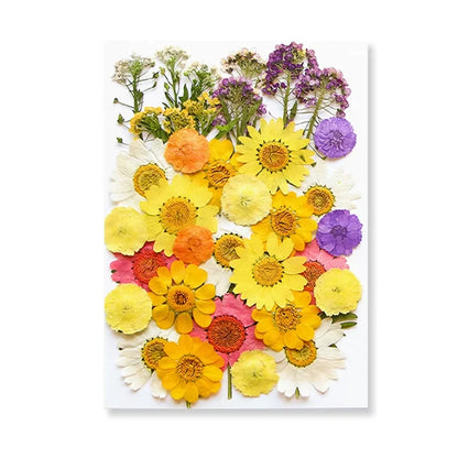 Natural Dried Flowers – A Touch of Nature for Your Resin Crafts
