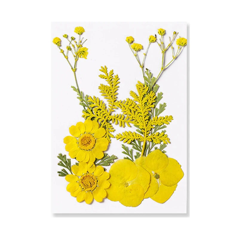 Natural Dried Flowers – A Touch of Nature for Your Resin Crafts