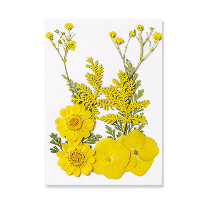 Natural Dried Flowers – A Touch of Nature for Your Resin Crafts