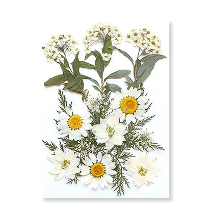 Natural Dried Flowers – A Touch of Nature for Your Resin Crafts