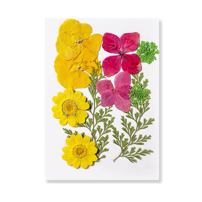 Natural Dried Flowers – A Touch of Nature for Your Resin Crafts