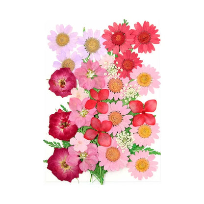 Natural Dried Flowers – A Touch of Nature for Your Resin Crafts